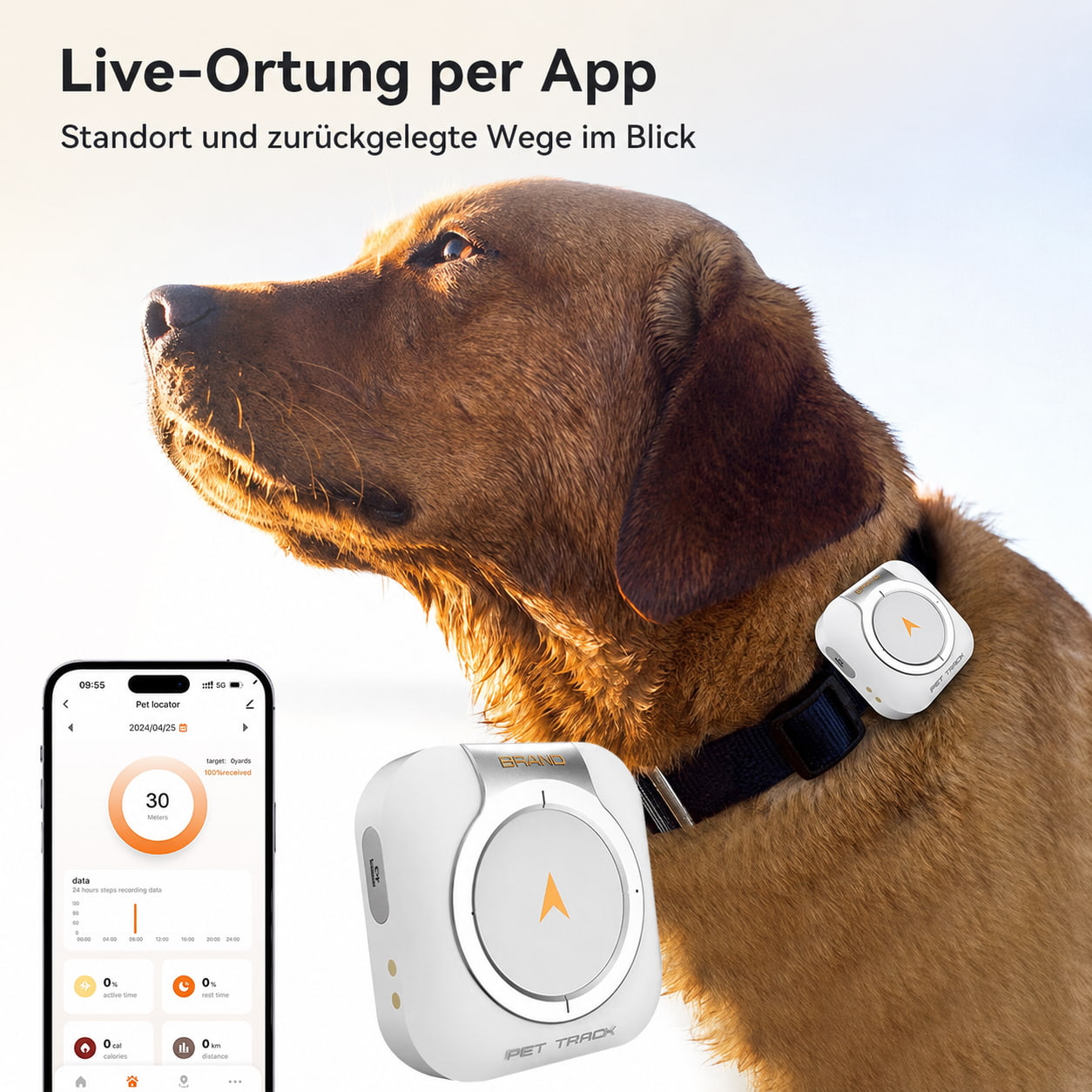 Dripdeal GPS-Tracker für Hunde – 4G Live-Ortung & Sicherheitszone
