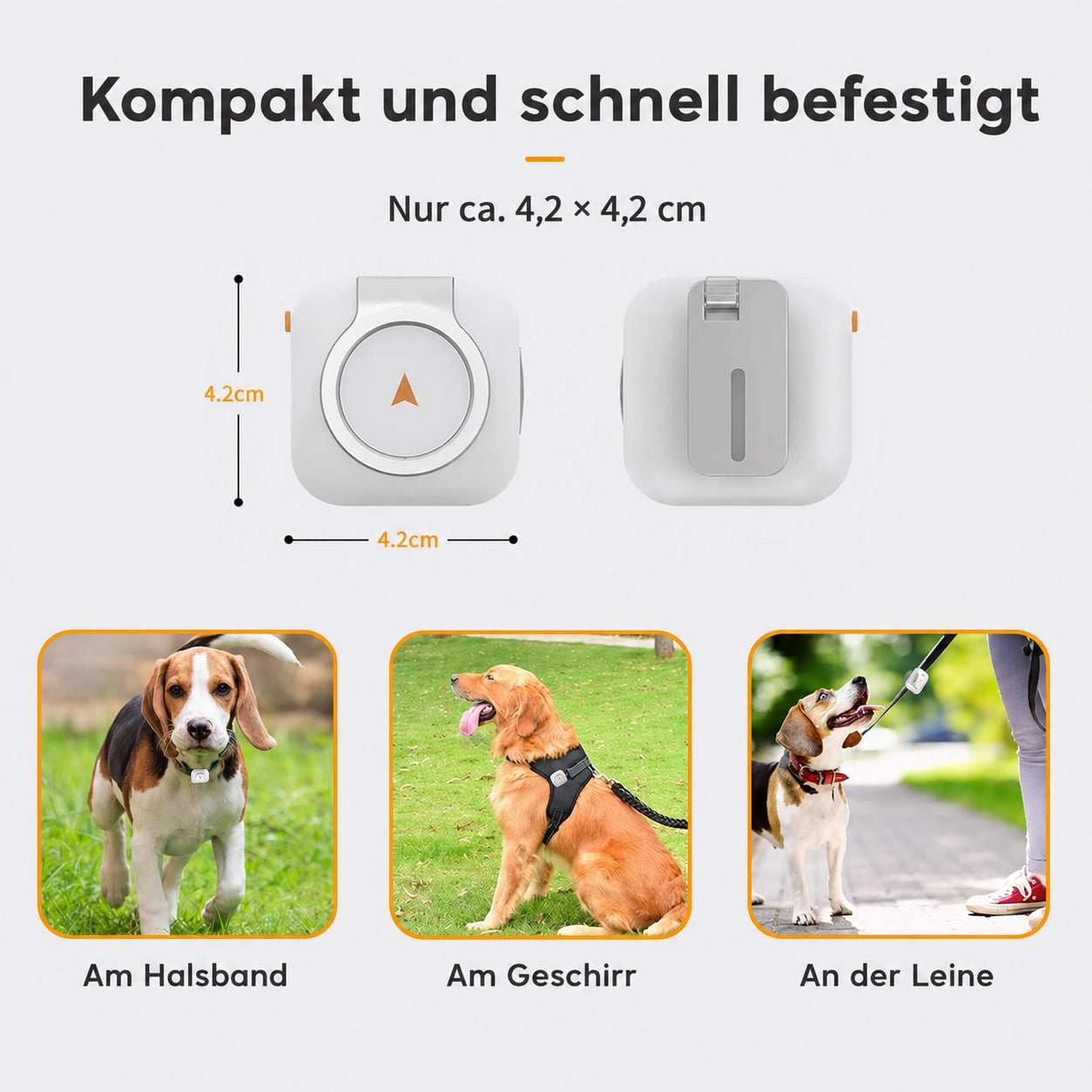Dripdeal GPS-Tracker für Hunde – 4G Live-Ortung & Sicherheitszone
